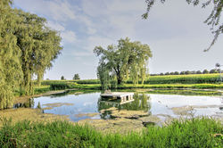 Pond