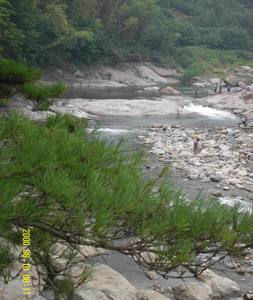 966a600b-811e-40c3-b1c8-d686e8b21543