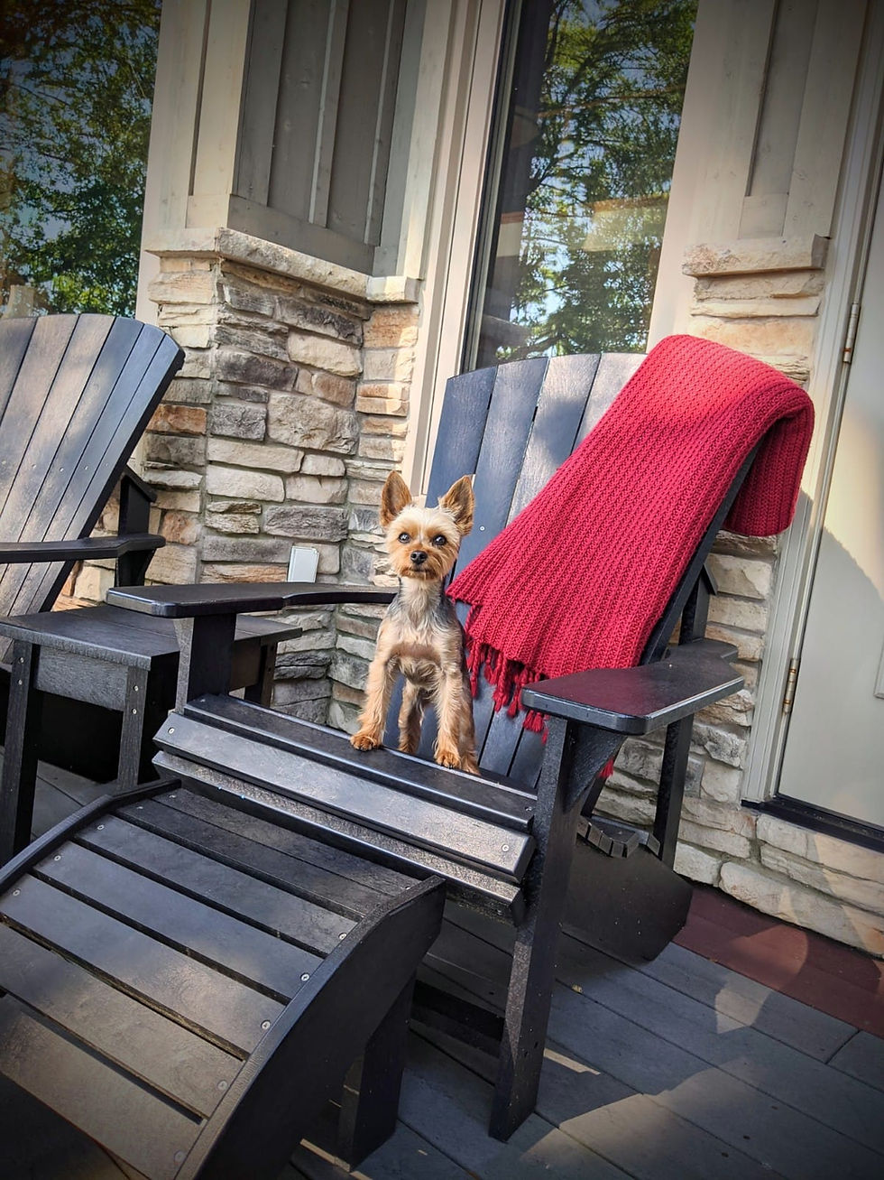 Thumbnail: Upright Adirondack Chair on a porch