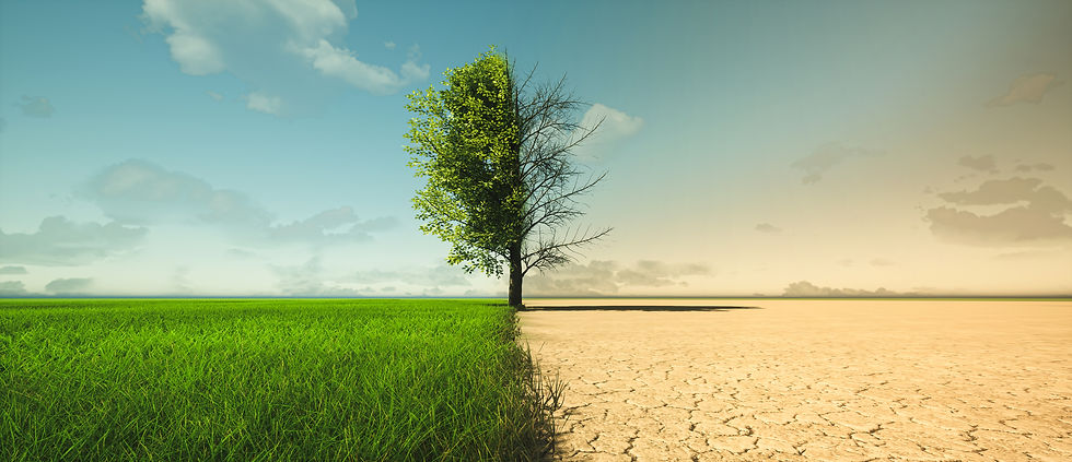 Climat.jpg