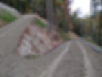 Two diverging gravel roads in a wooded setting