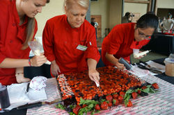 Allison Lee Photography-candid family photos- Austin, TX- Farm to Plate- SFC-Mak