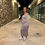Miniatura: Maxi Dress