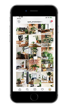 Untitled design (2).jpg