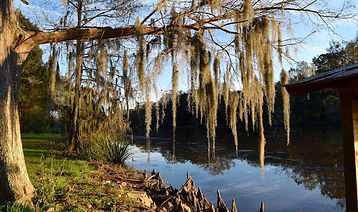 Iberia Parish Bayou Teche Main Photo.jpg