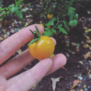 : Rhythm / Devotion of Robin :