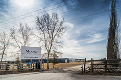 Moore Equine South