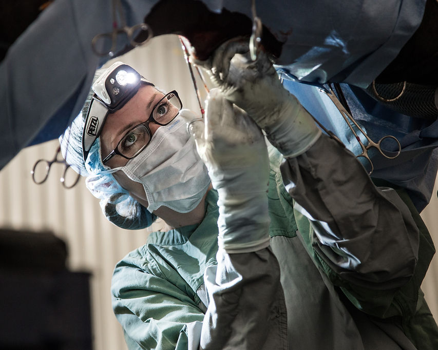 SERVICES Moore Equine Veterinary Centre Ltd.