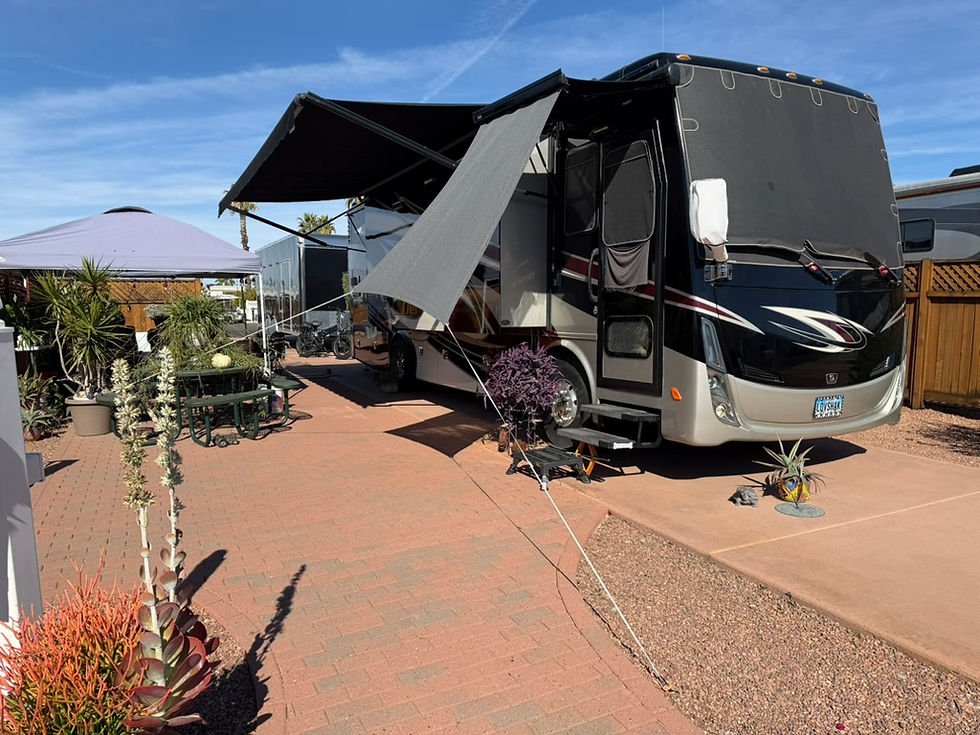 Yesterday, we visited four parks to see if we could find one we liked better than where we are staying (Mesa Spirit).  We really like Val Vista Village RV Resort.  It is only a few miles from us. They have some really nice pull-throughs, and everyone was so friendly - from the front office to the people we met while walking through the park. Above and below are the pull-throughs.  I'm not sure if we can get a space there, though.  It is a pretty popular area.  I think we can get into the park, but maybe not a pull-through.  We haven't decided yet if we want to move there, but we were both very impressed.  We have visited 6 parks, and this one is our favorite.