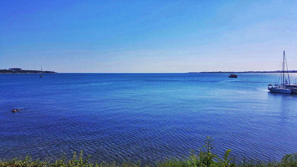 Черное Море