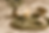 ChatGPT Image May 6, 2026, 04_45_03 PM.png