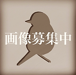 nobird.png