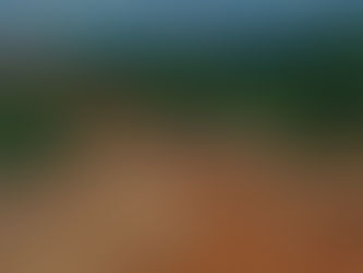 Empresa destaque em ações positivas de Segurança do Trabalho na área florestal UNF-BA / Suzano Papel e Celulose 🌱