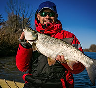 Fishing. Fisherman and trophy Asp..jpg