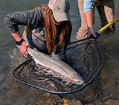 PXL_20250904_183449516_edited.jpg