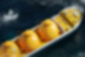 Mozambique LNG tankers