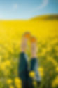 pexels-photo-16465973.jpeg
