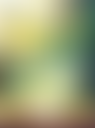 Like a fresh lemonade