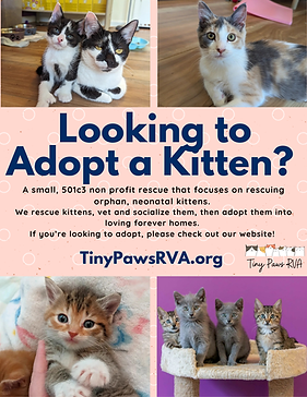 TinyPawsAdoptionFlyer1.png