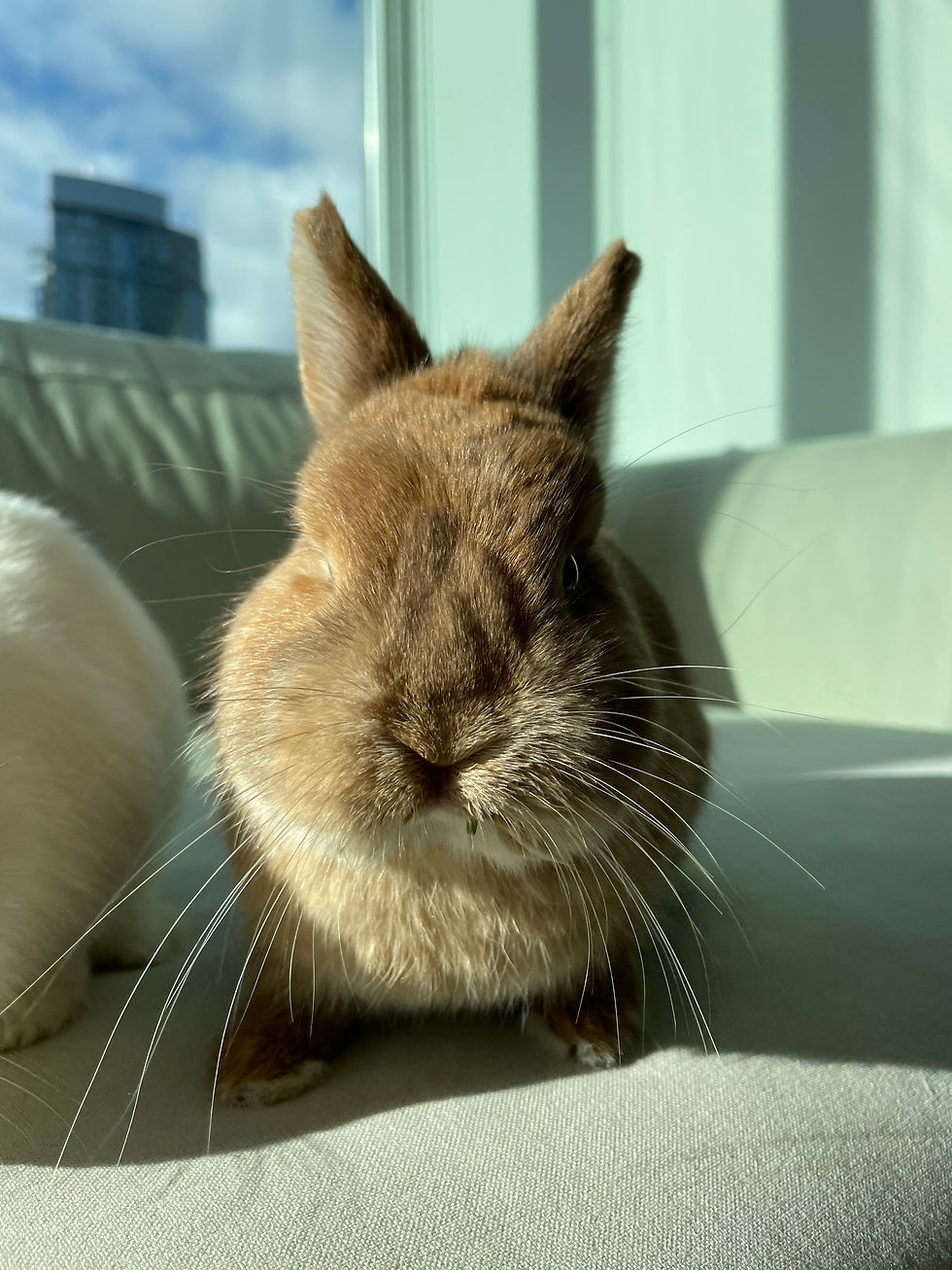 9 things to watch out for at home