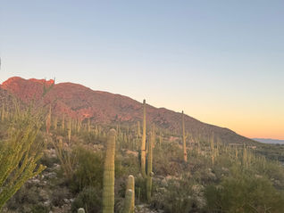 If hiking was a spectator sport