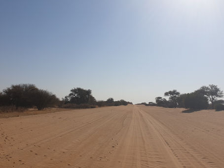 Fahrt Richtung Ghanzi