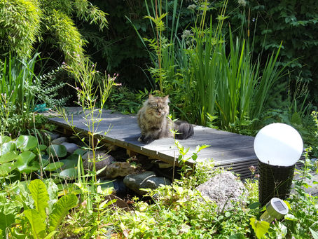 Das ist der Beginn unseres Afrikablogs