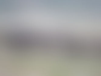 Chobe voller Büffel