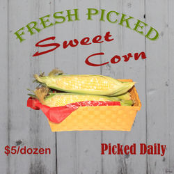 sweet corn kitchen pic copy