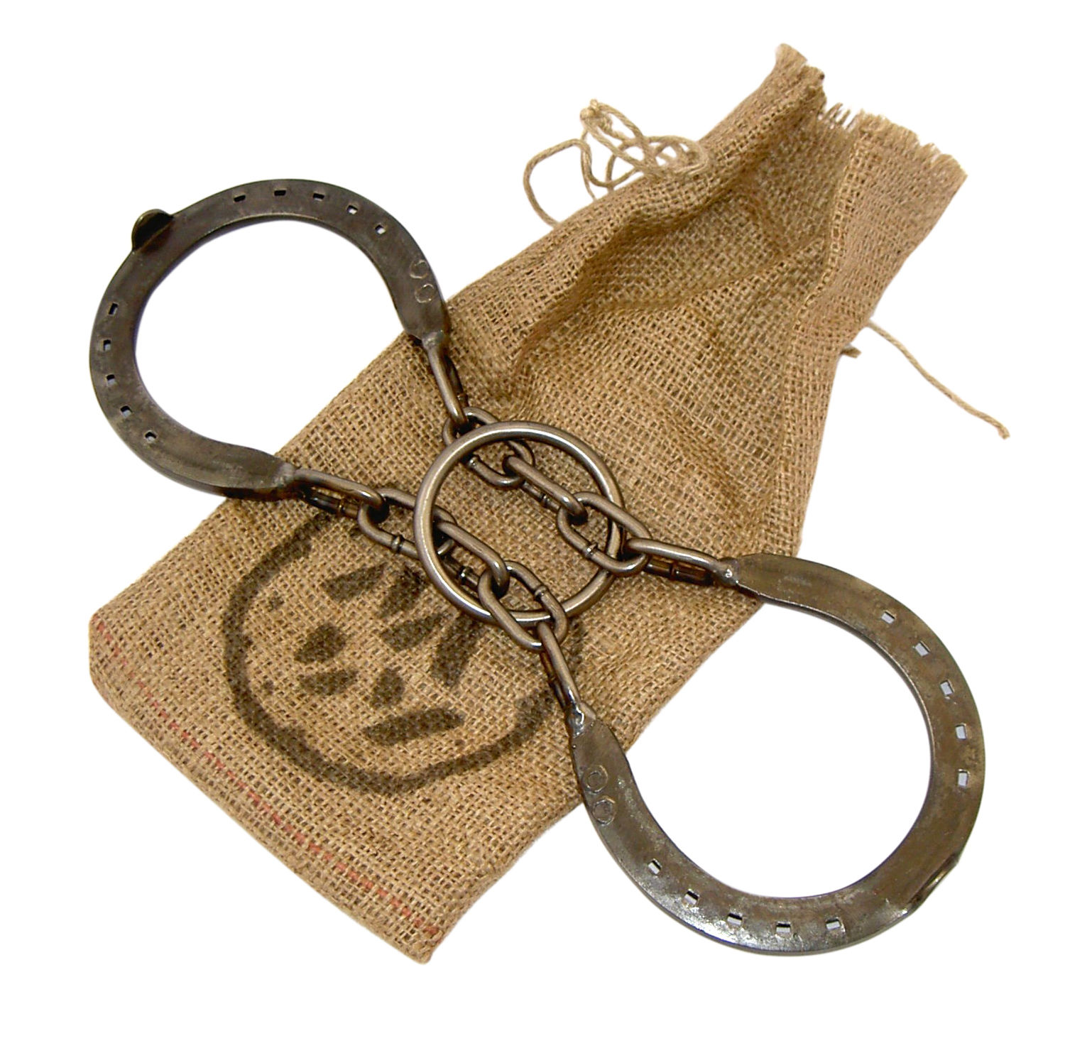 Horseshoe Puzzle