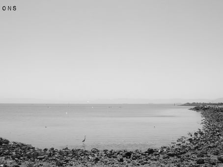 Photo Of The Day (05/31/21)