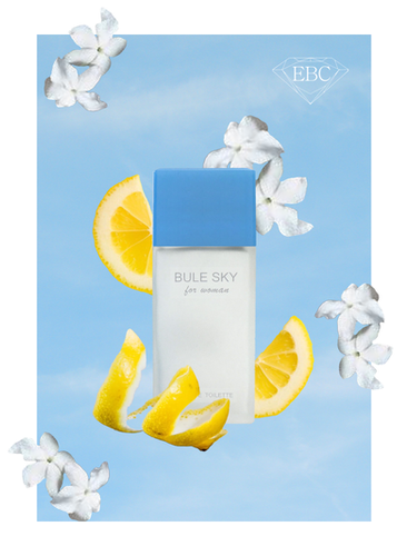 blue sky様】SX6000、リモアアイセラム Blue Sky Bundle – BlumiLABS