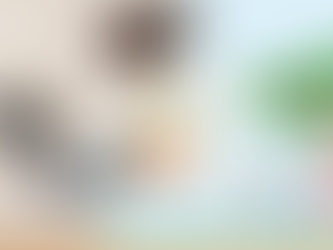 SAIBA UM POUCO MAIS SOBRE AS FÉRIAS