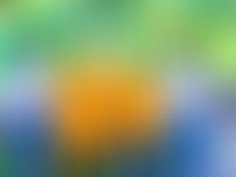 Celebrating Success: Patrick's Kids Foundation Honors Baccalaureate Exam Achievers