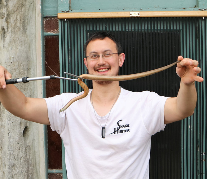 Snake Catcher Melbourne Melbourne About Snake Wrangler Mark Pelley