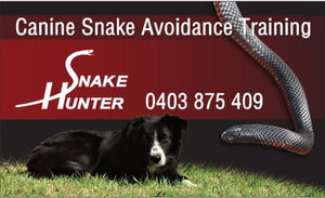 Canine Snake Avoidance Melbourne