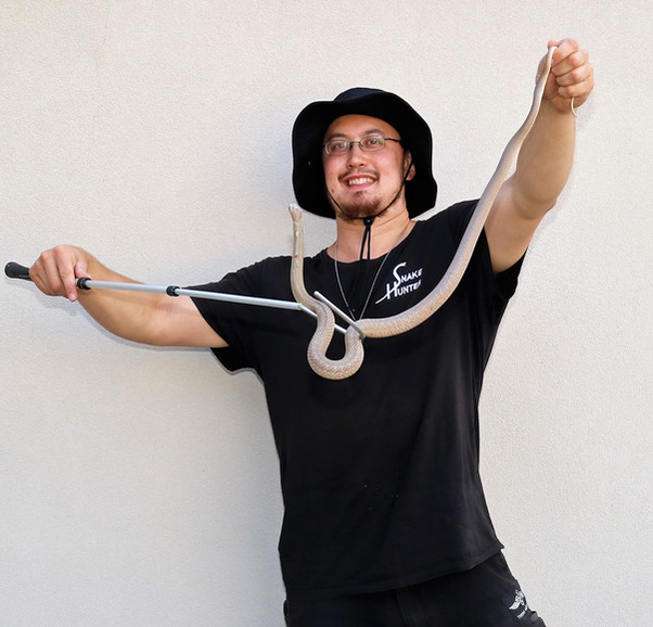24/7 Fastest Snake Catcher Melbourne Snake Wrangler Victoria