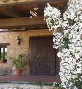 Entrada