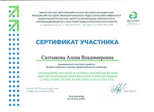 Сертификат участника семинара.jpg