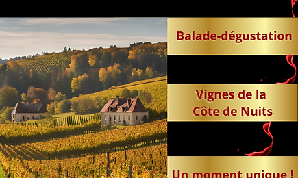 EMBARQUE POUR UNE BALADE EPICURIENNE