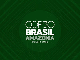 Cultura de Doação Ambiental no Brasil e as Oportunidades da COP 30