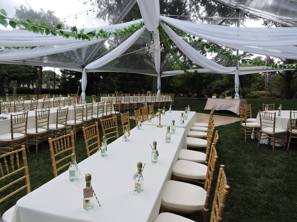 Outdoor Clearspan Tent Wedding Reception with Center Ceiling Draping