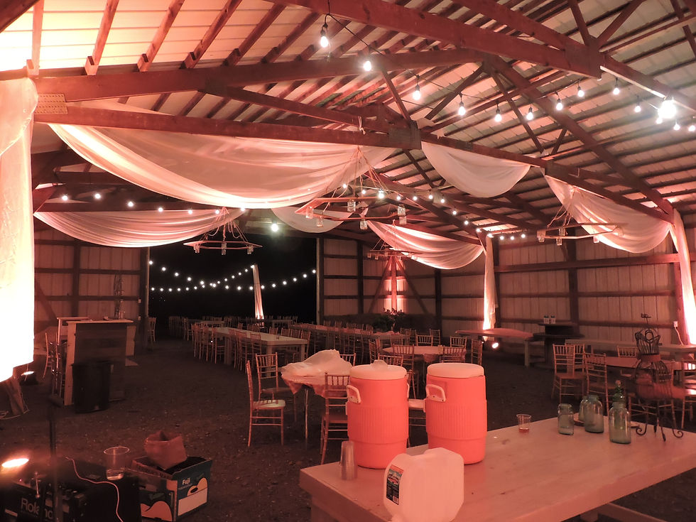 Barn Wedding Reception with Ceiling Draping and Bulb Lighting