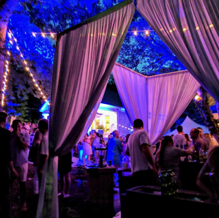 outdoor party, event with canopy draping, led uplighting and bulb lighting, bulb rope strands 