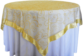 Yellow Embroidered Organza Overlay