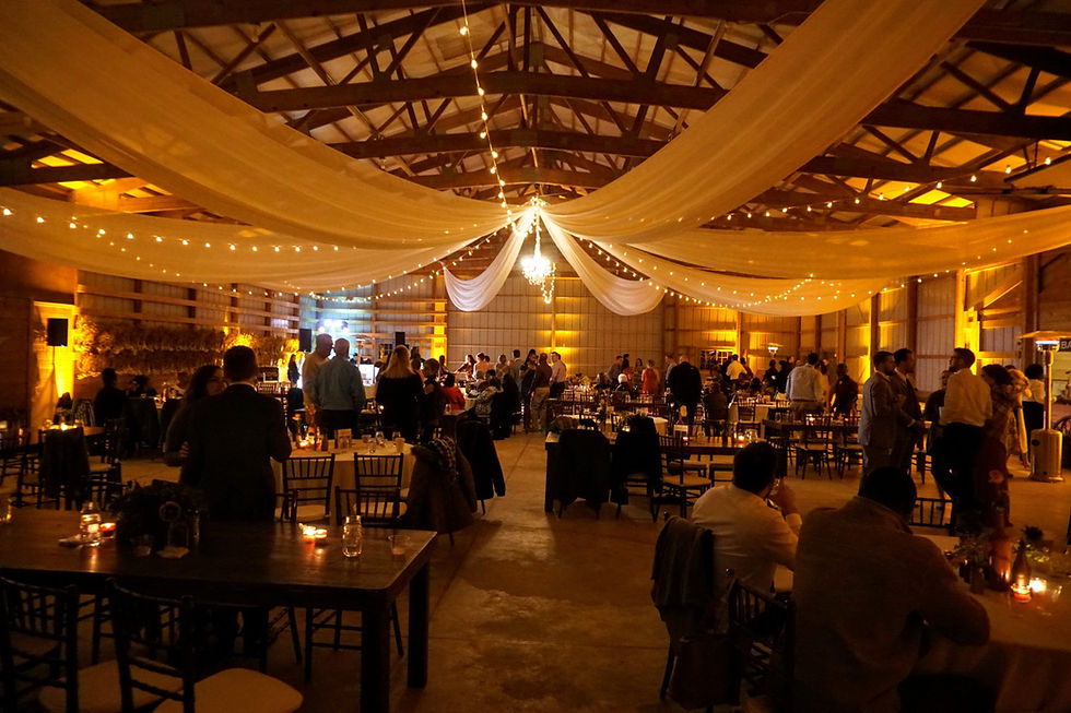 Barn Wedding Reception with Center Style Ceiling Draping, Bulb Lighting and Crystal Chandelier