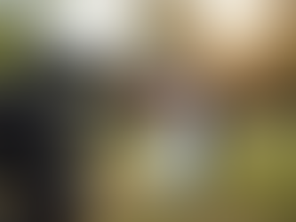 Videocamera AI che fa comprendere il contenuto dell'articolo del Blog