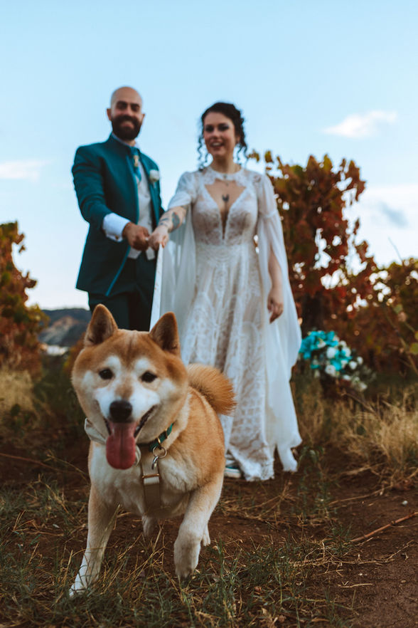 Sposi sorridenti con cane Shiba Inu in primo piano. Fotografia di Drimage Creative studio di Simona Turano Fotografa

