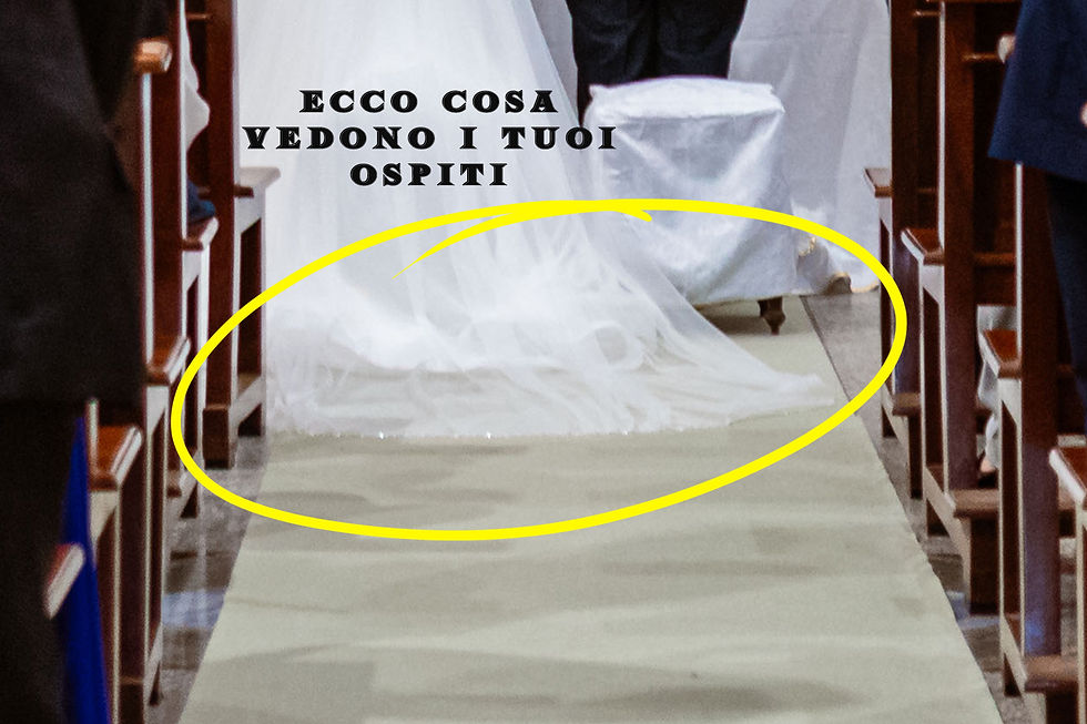 Sposa vista di spalle con il velo lungo