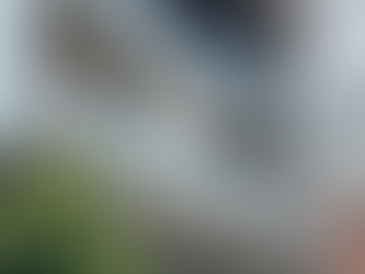 Is it Good to Buy the Ground Floor?